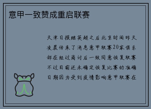 意甲一致赞成重启联赛